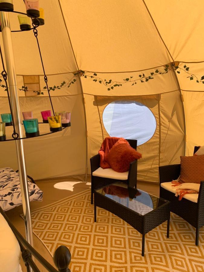 Tal-y-fan Farm 6m Stargazer Tent Luxury tent *