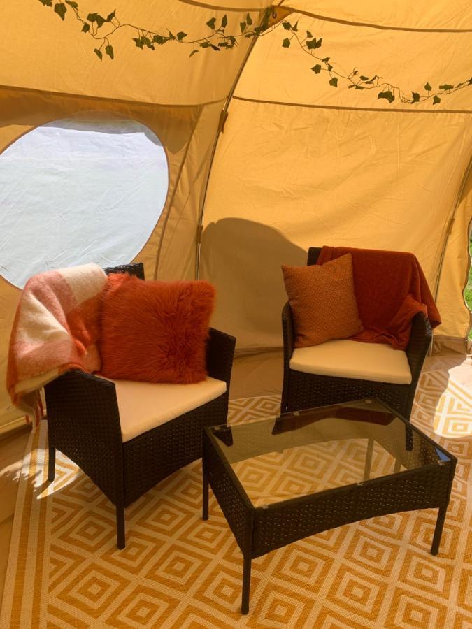 Luxury tent Tal-y-fan Farm 6m Stargazer Tent *