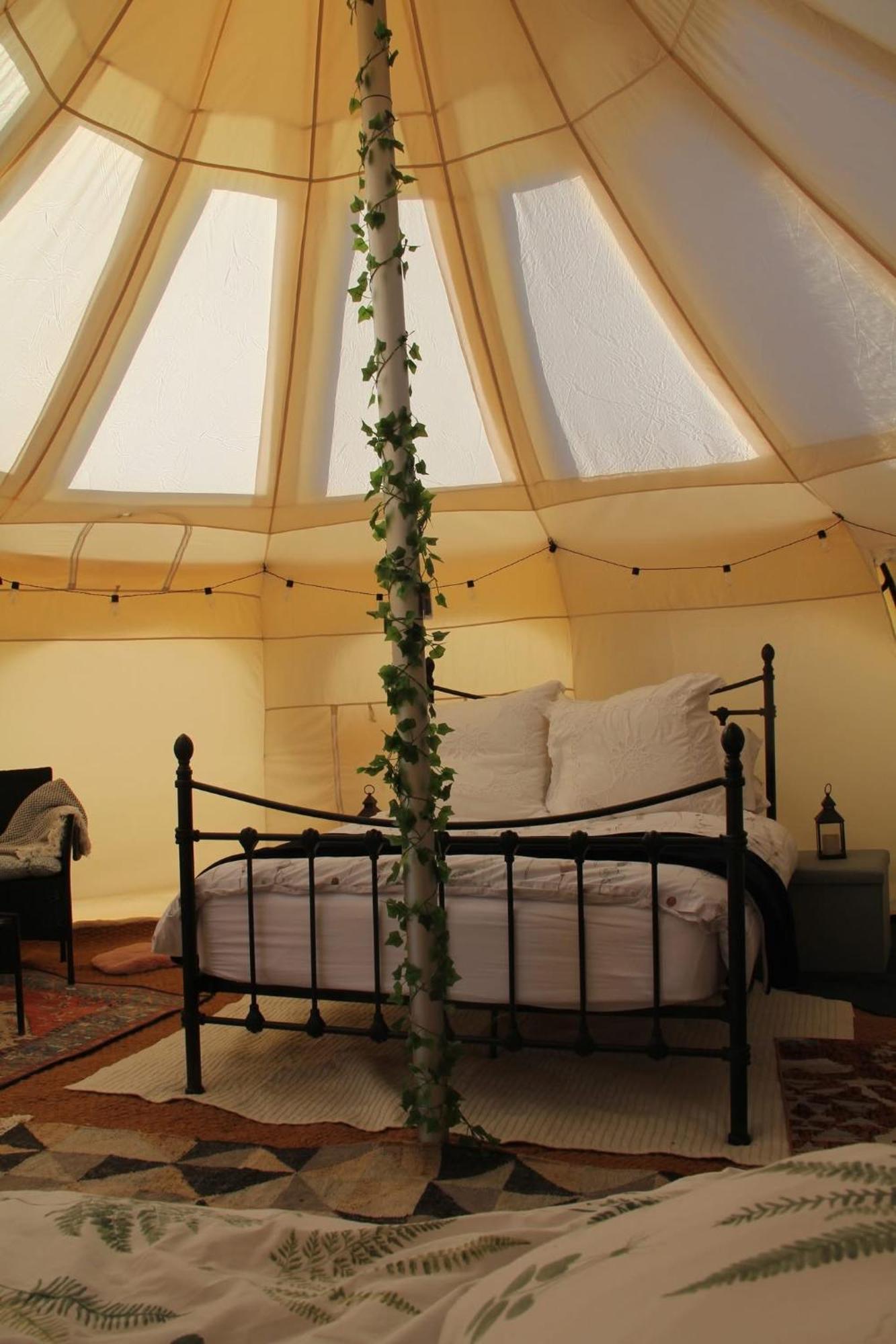 Tal-y-fan Farm 6m Stargazer Tent Luxury tent Bridgend (Wales)