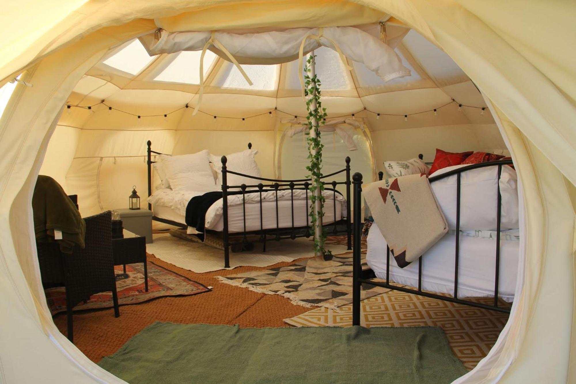 Tal-y-fan Farm 6m Stargazer Tent *